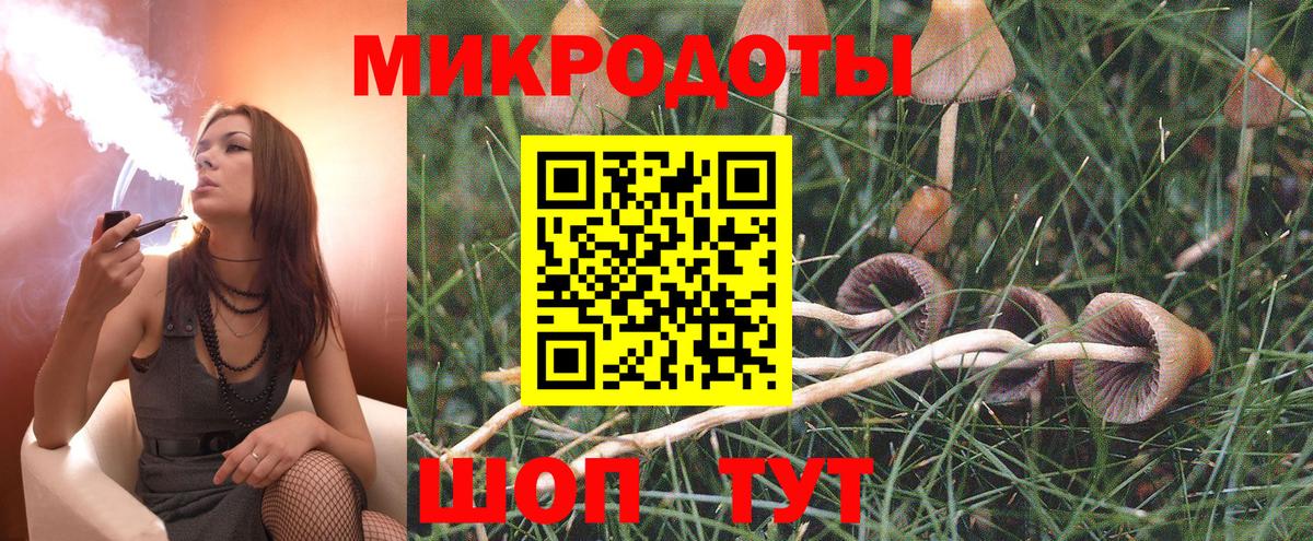 Ярославль  Псилоцибиновые грибы GOLDEN TEACHER  Вход с VPN  Галлюциногенные грибы GOLDEN TEACHER 